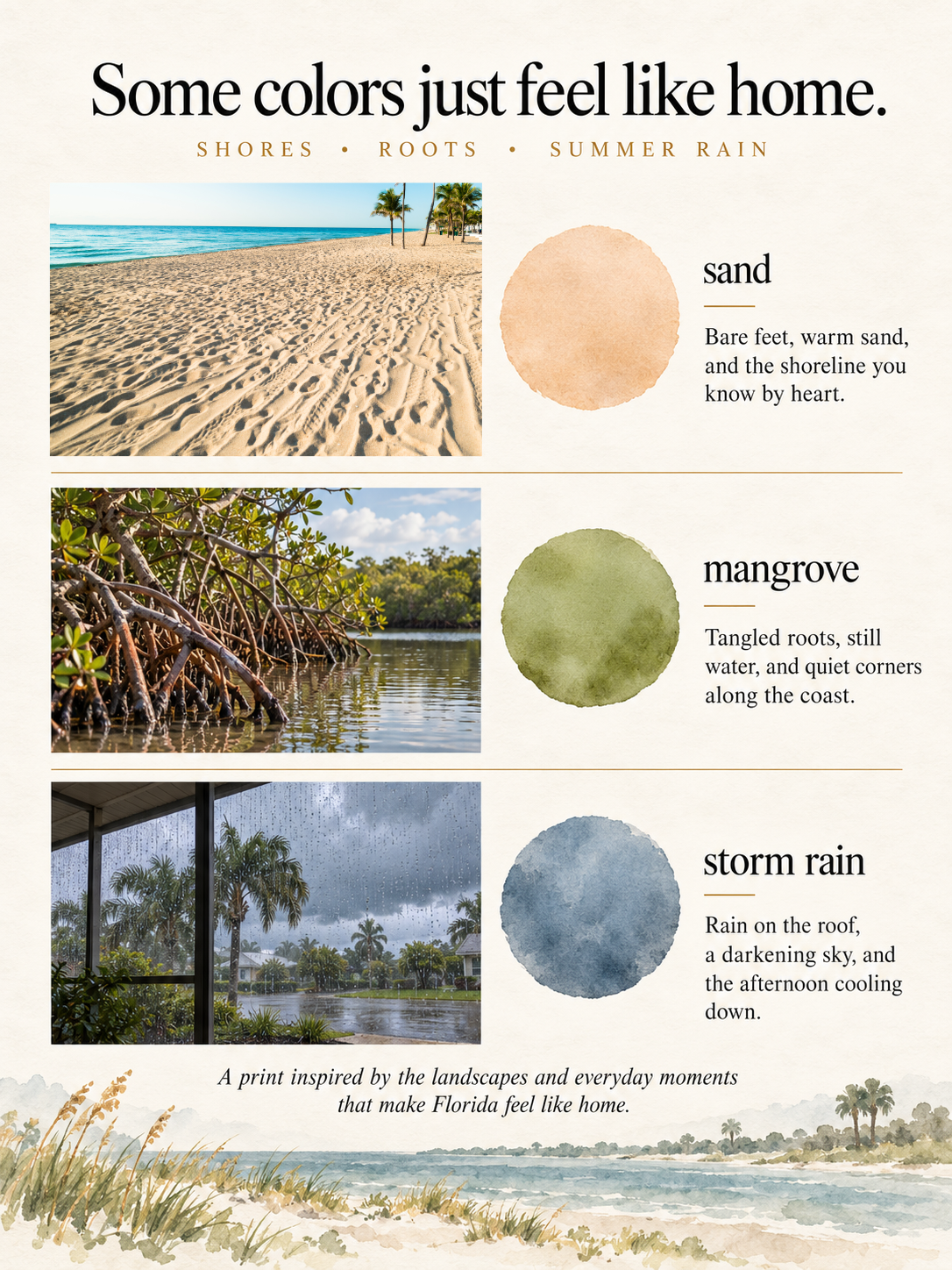 The Colors of Florida