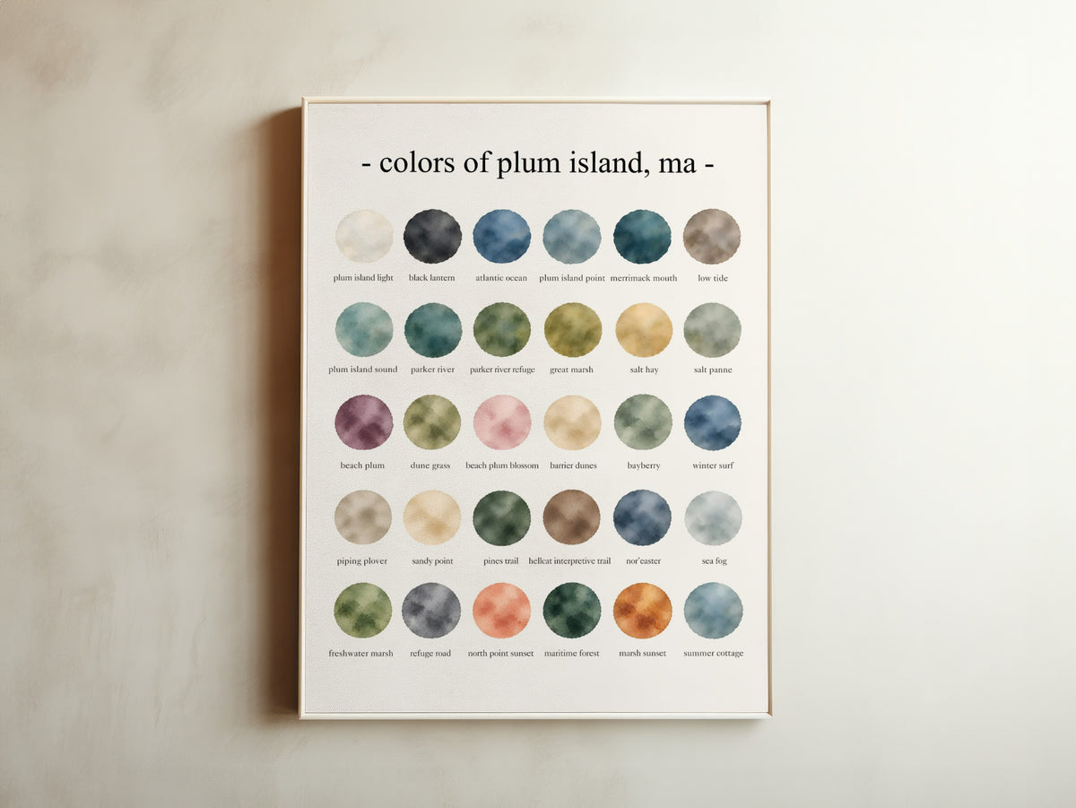 The Colors of Plum Island, Massachusetts
