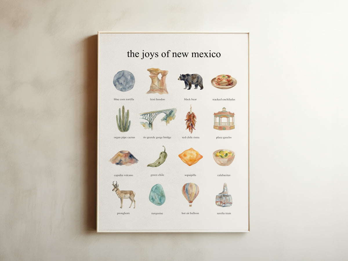 The Joys of New Mexico