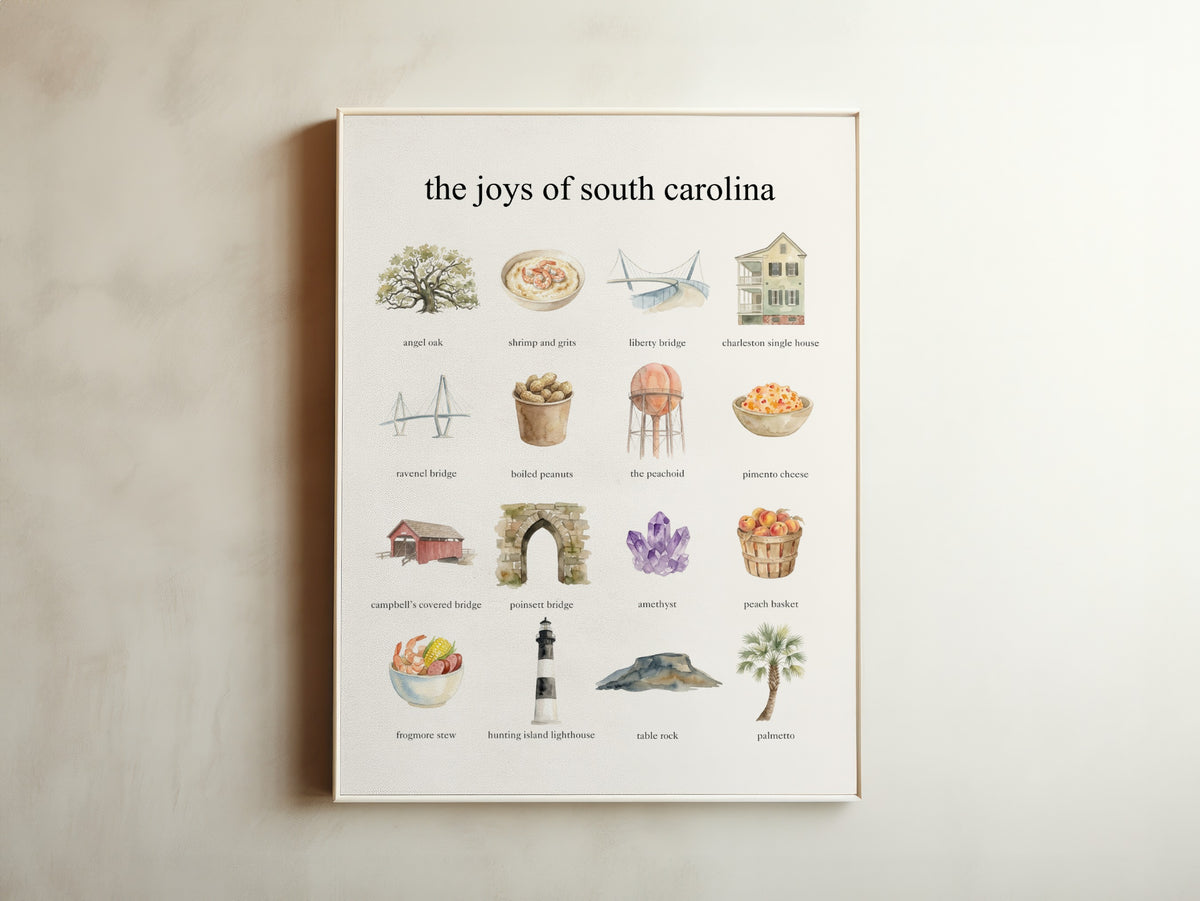 The Joys of South Carolina