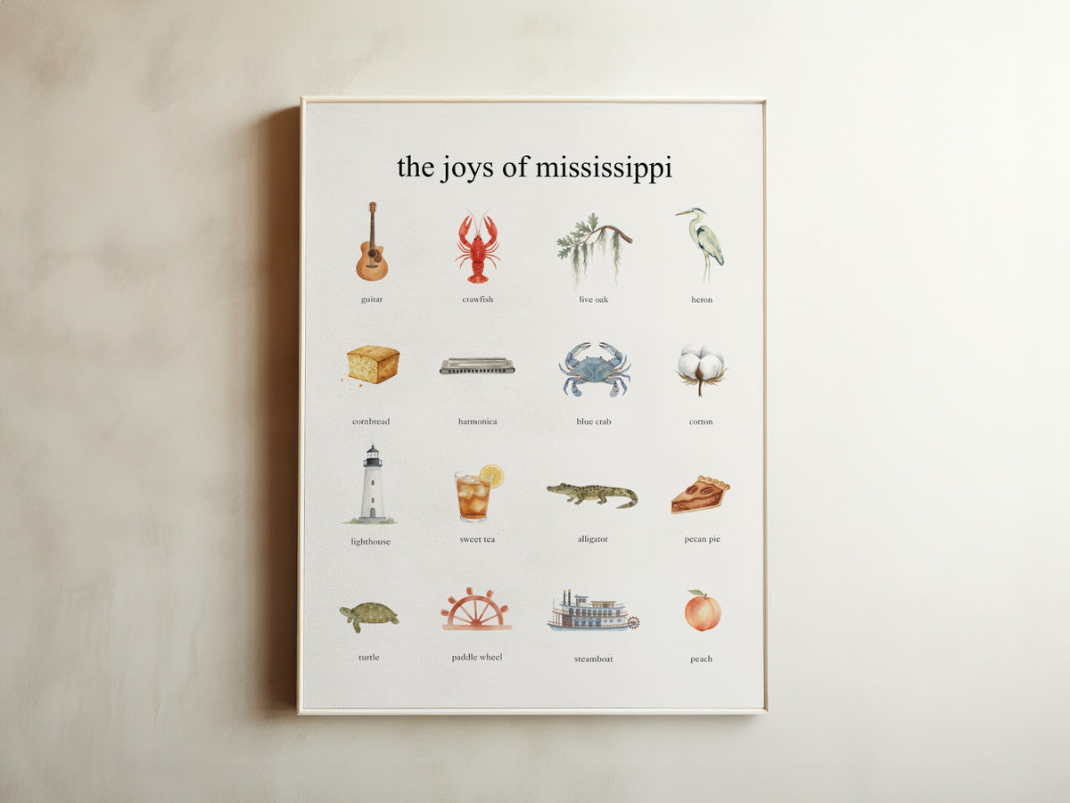 The Joys of Mississippi
