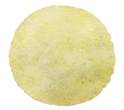 lemon grove