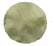 saltmarsh