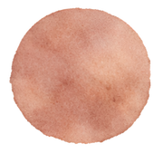 taylor ham