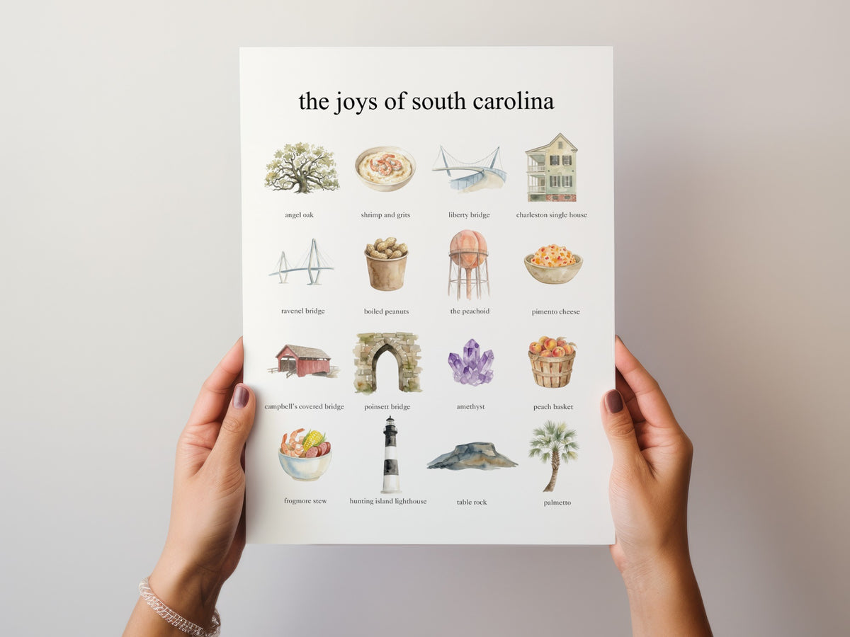 The Joys of South Carolina