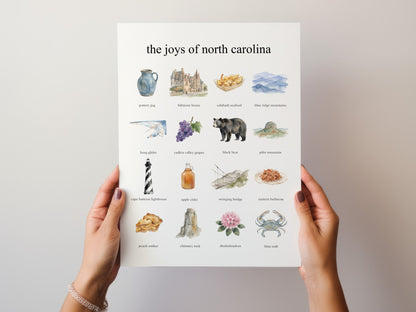 The Joys of North Carolina