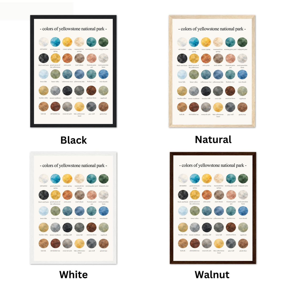 The Colors of the Yellowstone National Park