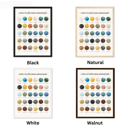 The Colors of the Yellowstone National Park