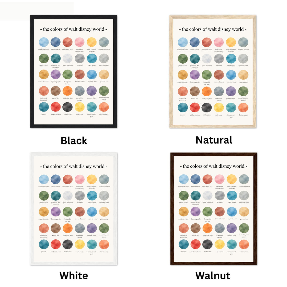 The Colors of Walt Disney World