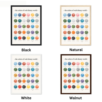 The Colors of Walt Disney World