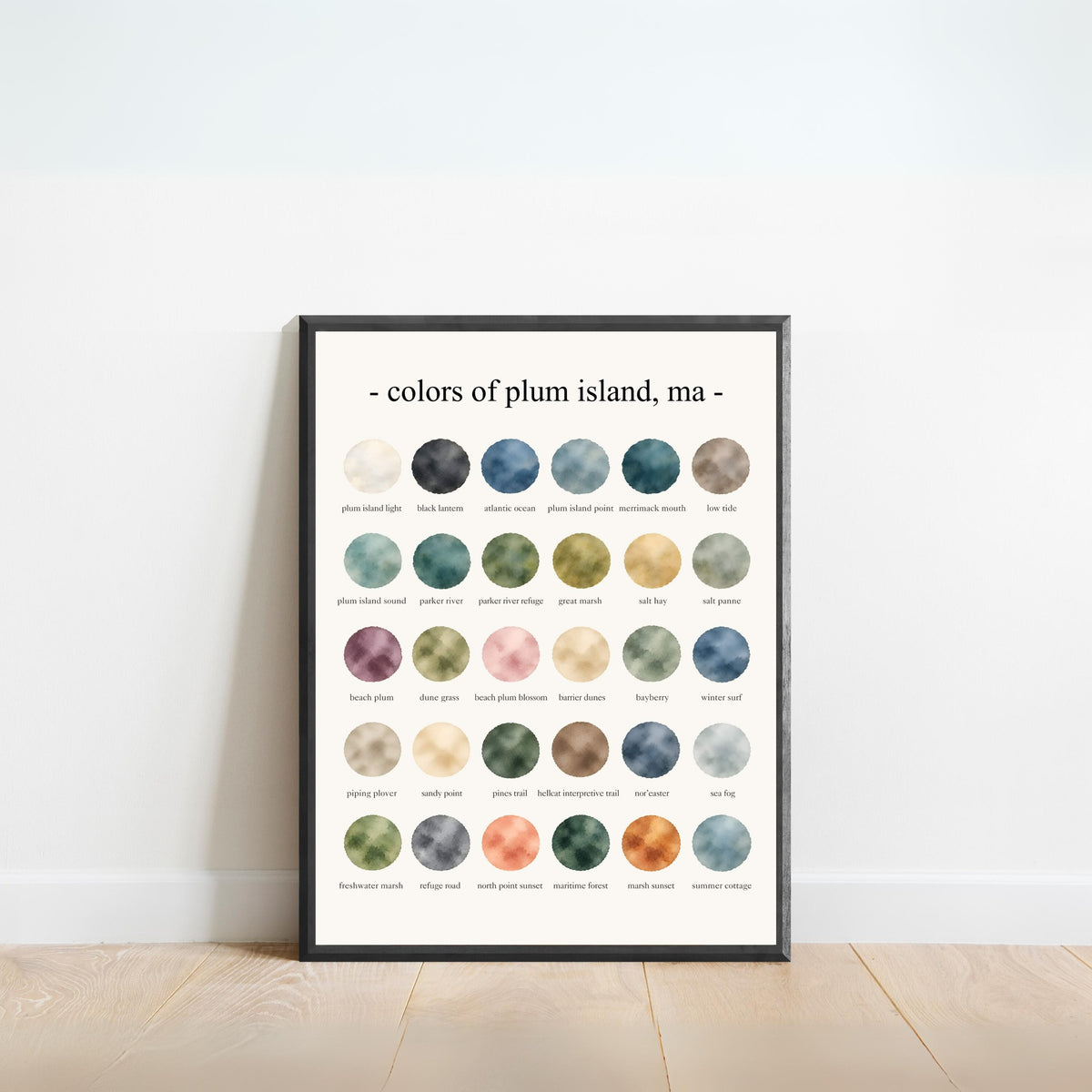 The Colors of Plum Island, Massachusetts