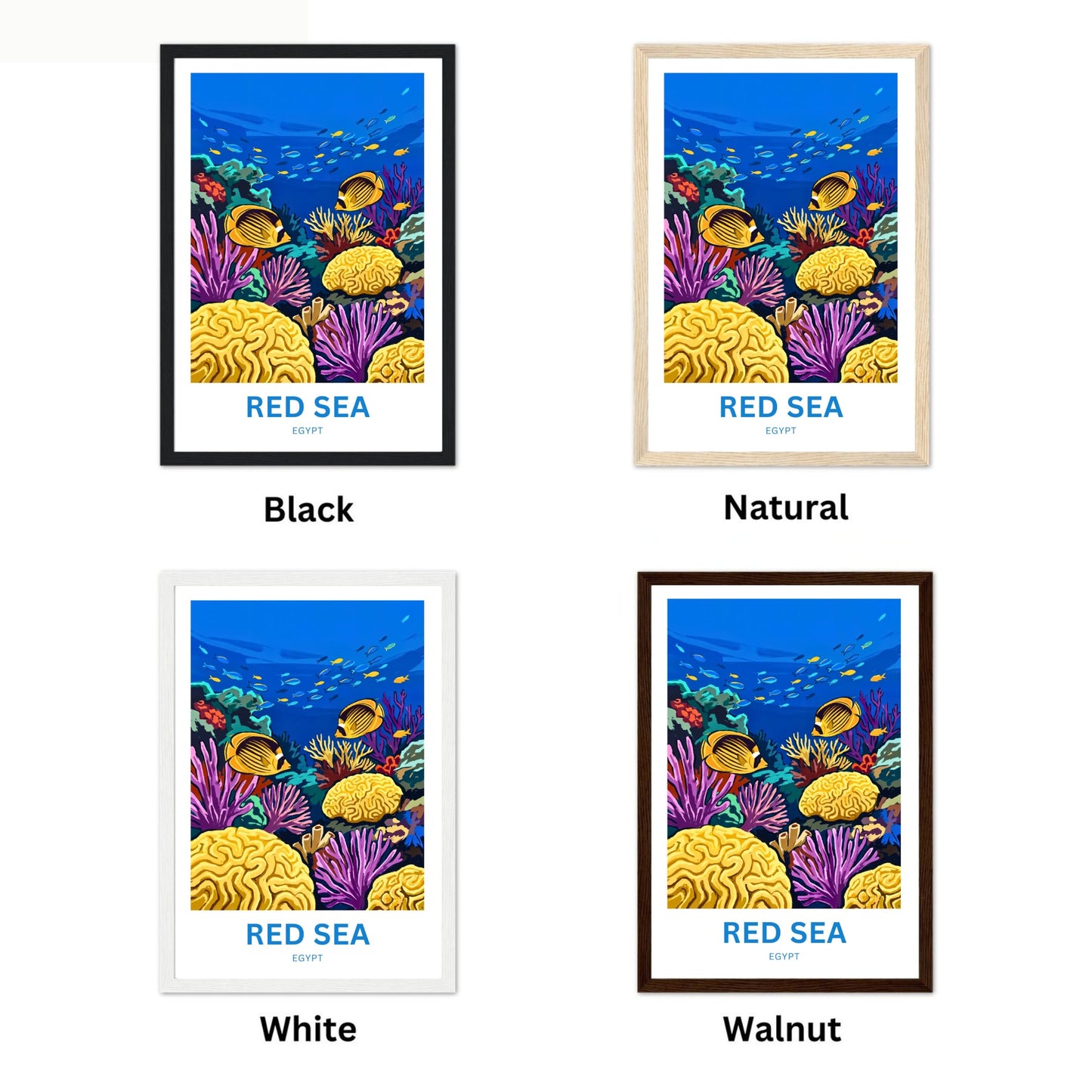 Red Sea Travel Poster - Living Coral