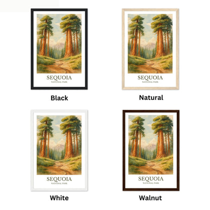 Sequoia National Park, Watercolor design poster, California Print, Sequoia National Park Wall Art