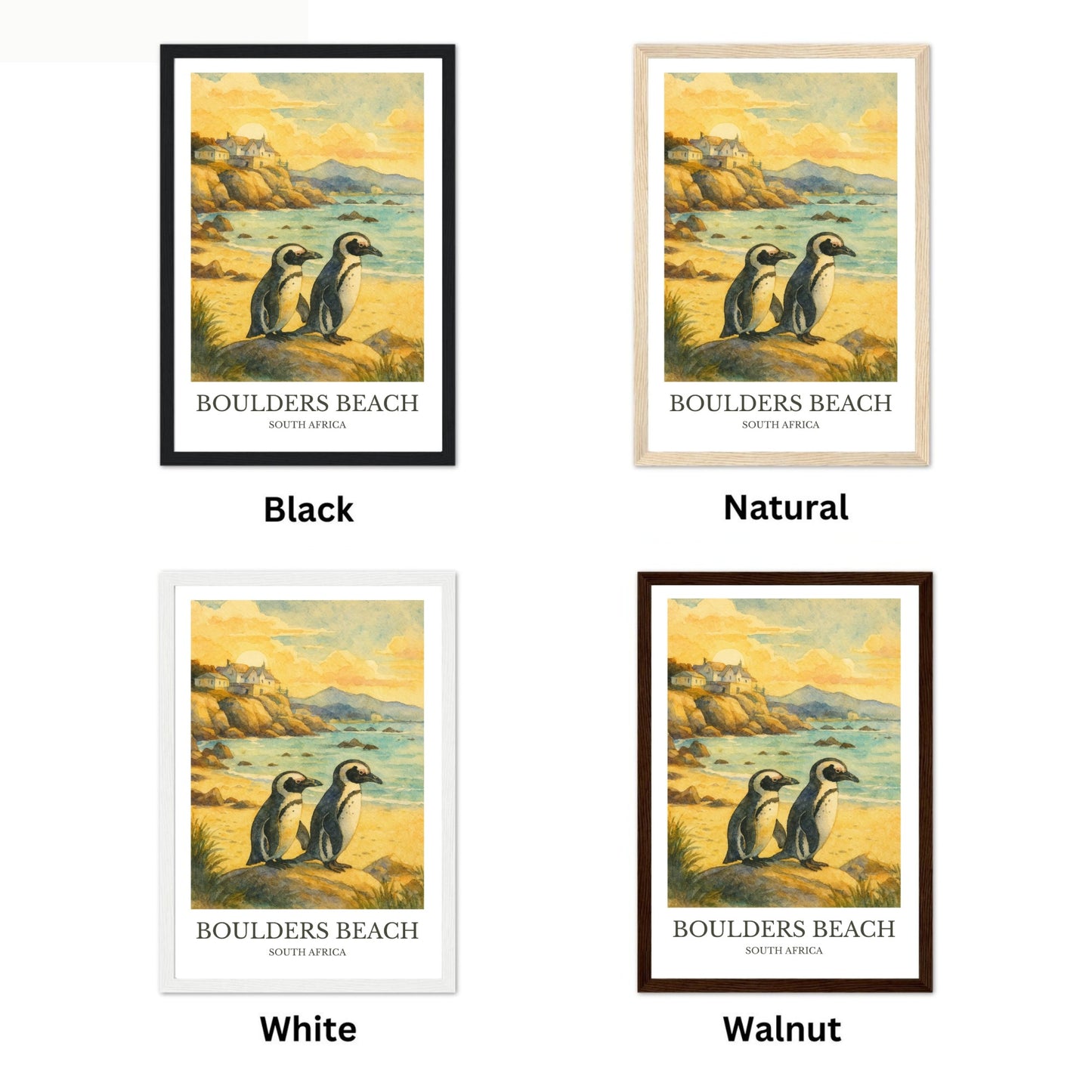 Boulder Beach, Watercolor design poster, South Africa Print, Boulder Beach Wall Art