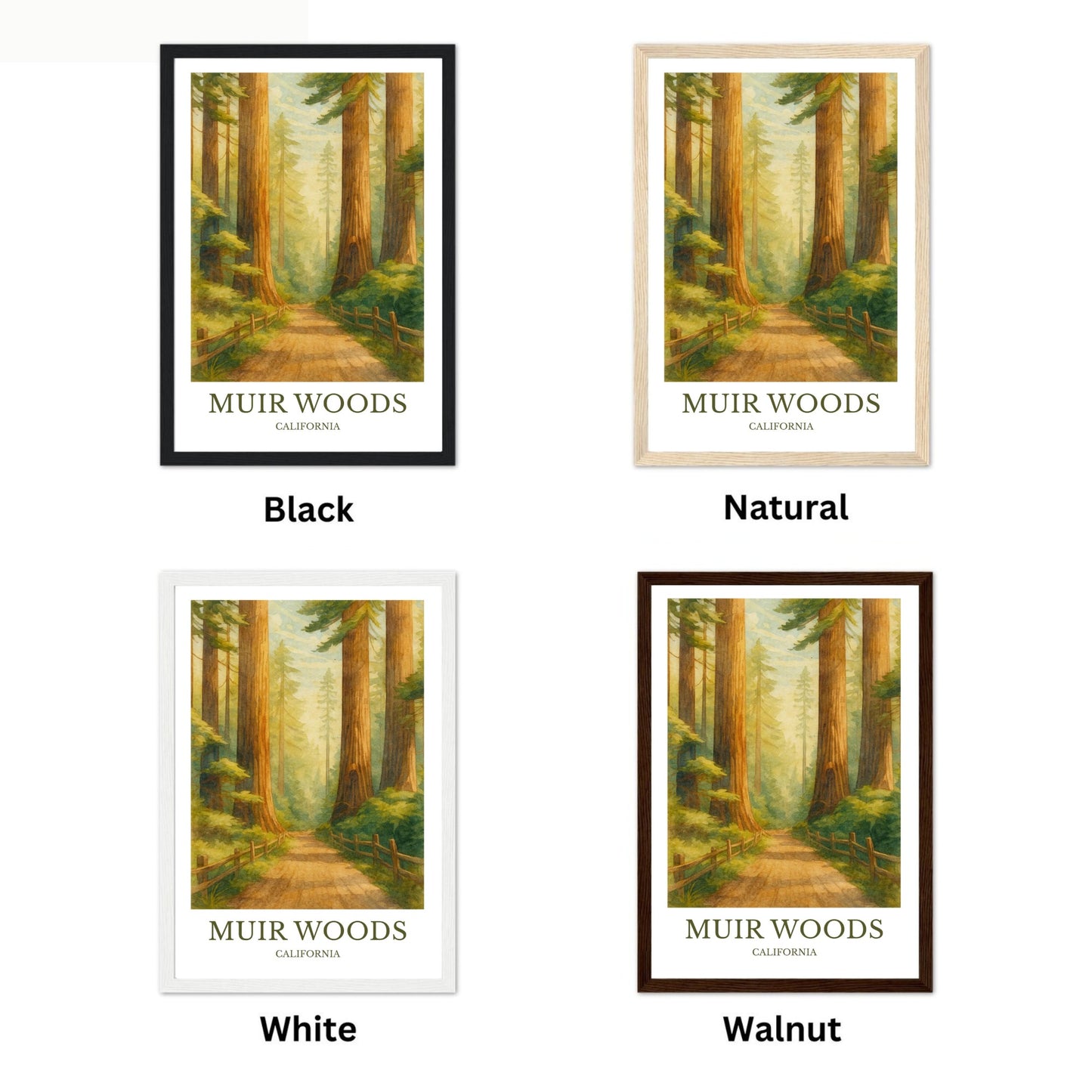 Muir Woods, Watercolor design poster, California Print, Muir Woods Wall Art