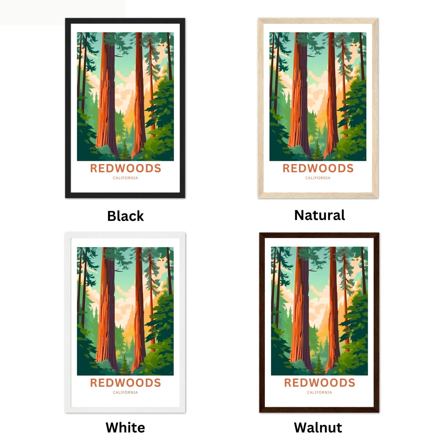 Redwoods Travel Poster