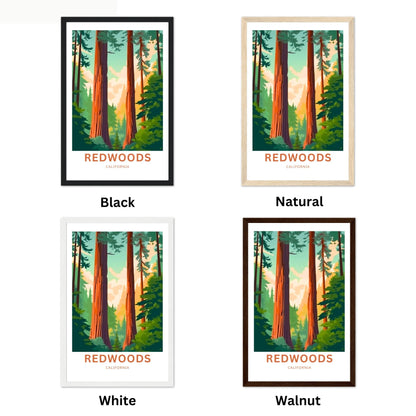 Redwoods Travel Poster