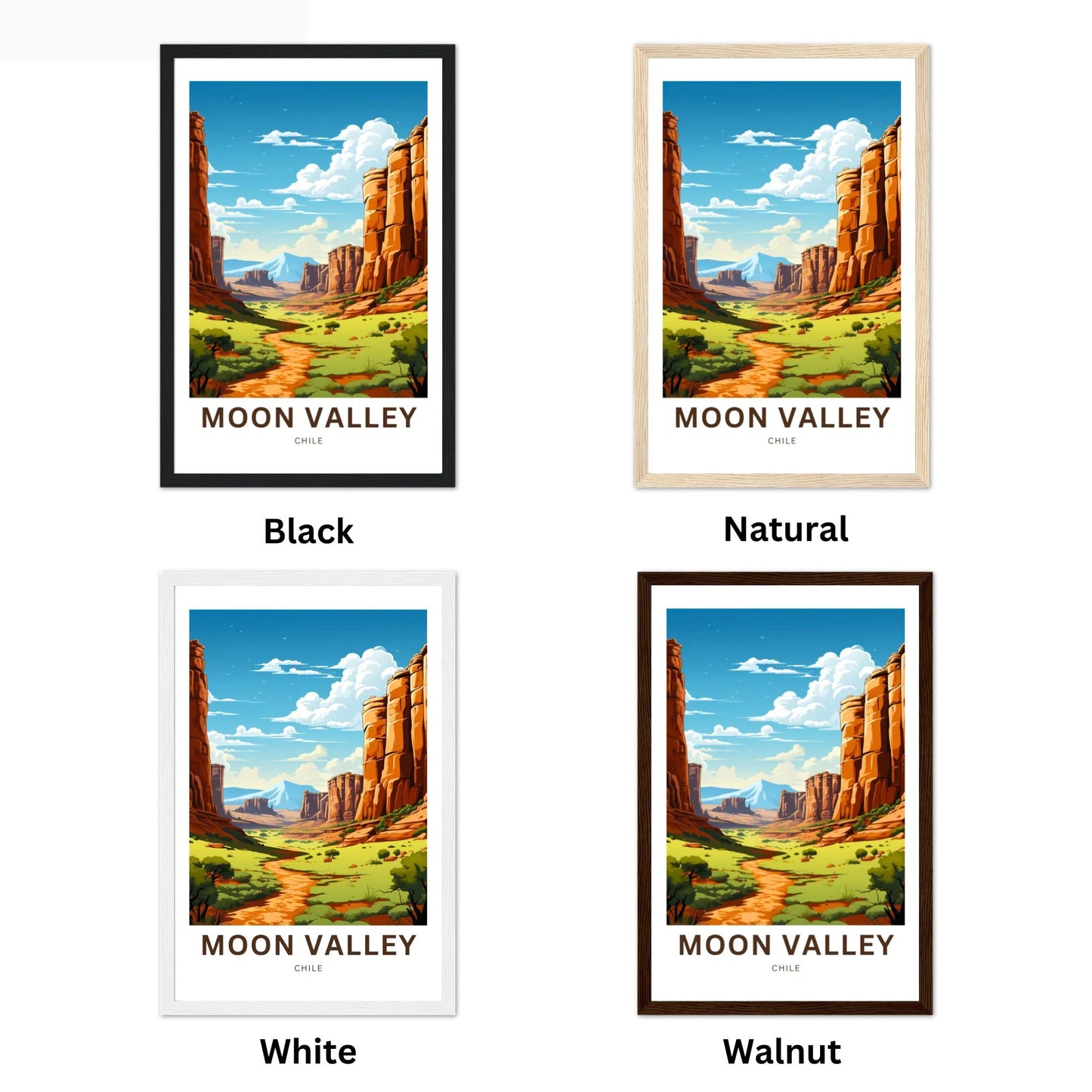 Moon Valley Travel Poster