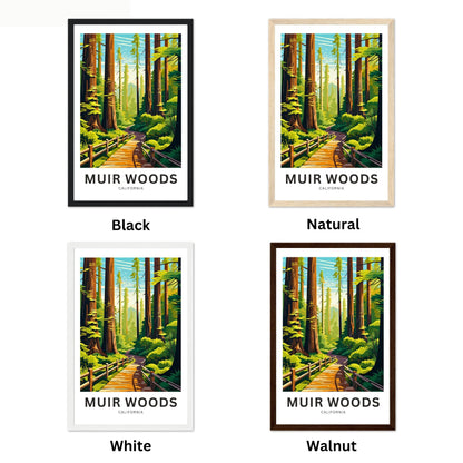 Muir Woods Travel Poster