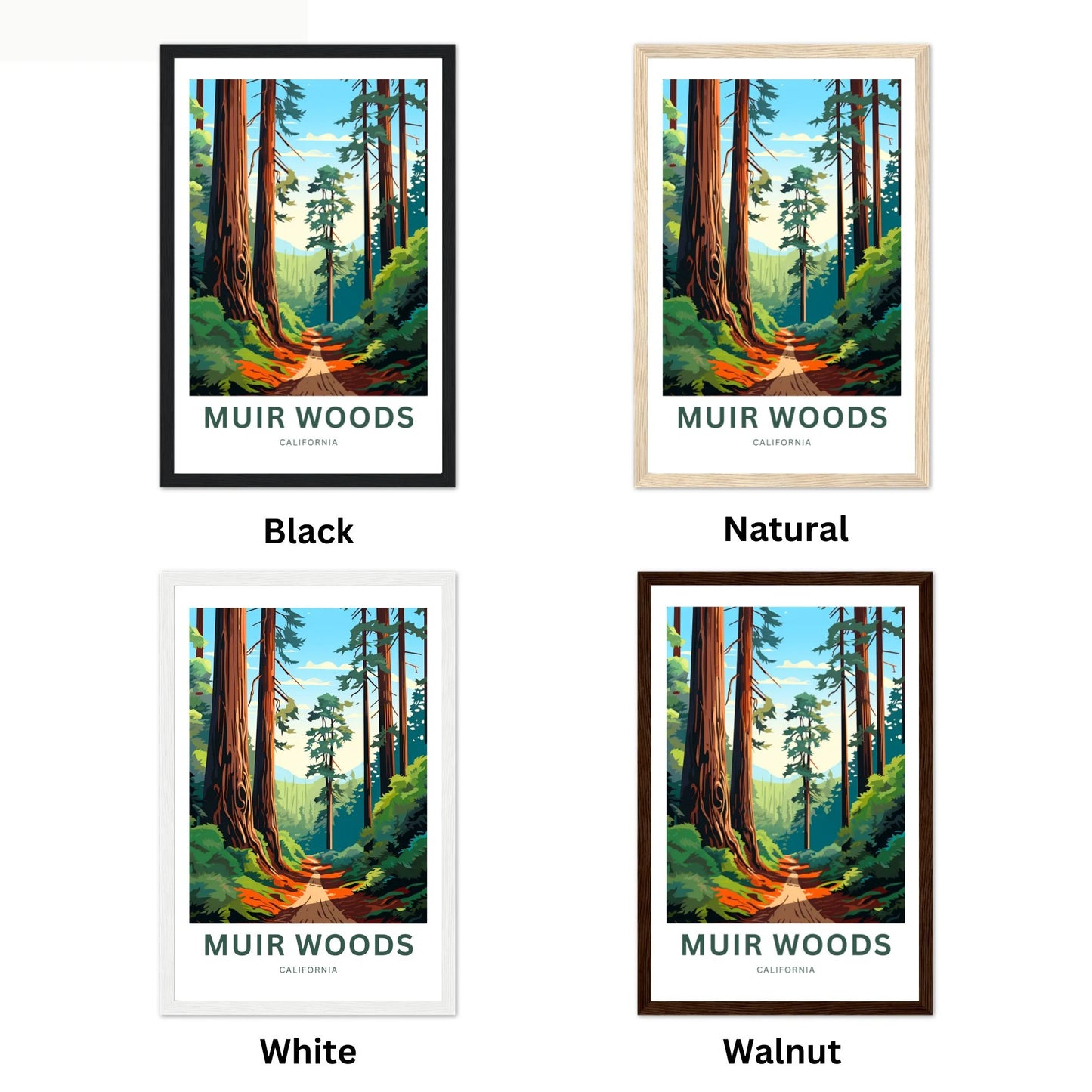 Muir Woods Travel Poster