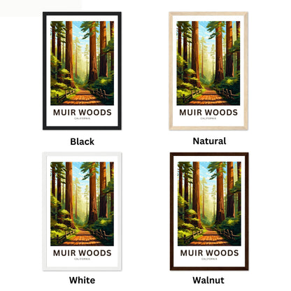 Muir Woods Travel Poster