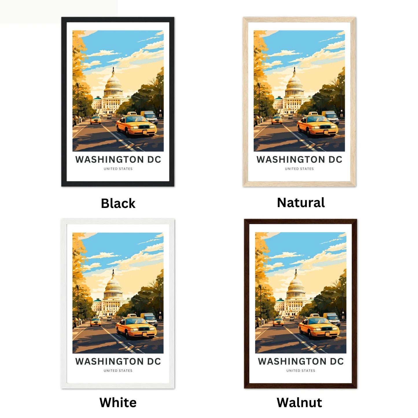 Washington DC Travel Poster