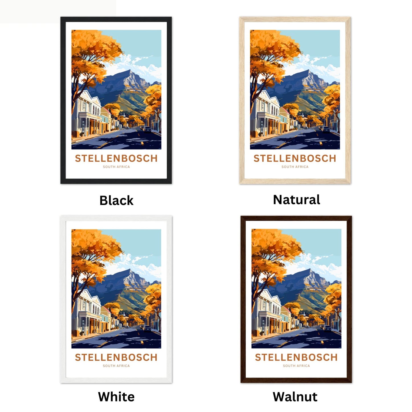 Stellenbosch Travel Poster