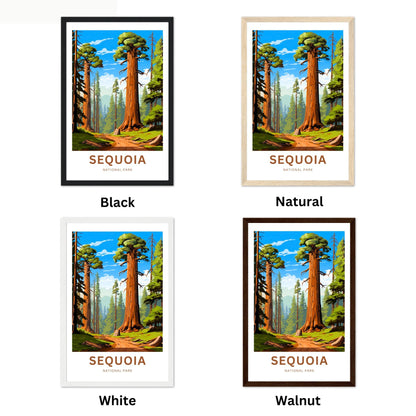 Sequoia National Park Travel Poster