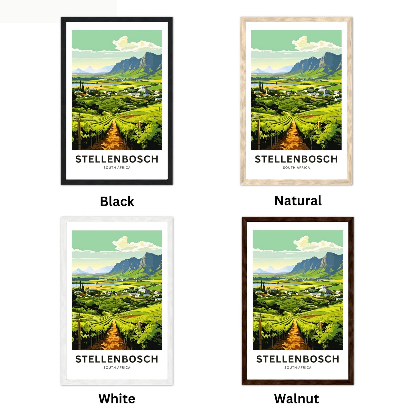 Stellenbosch Travel Poster