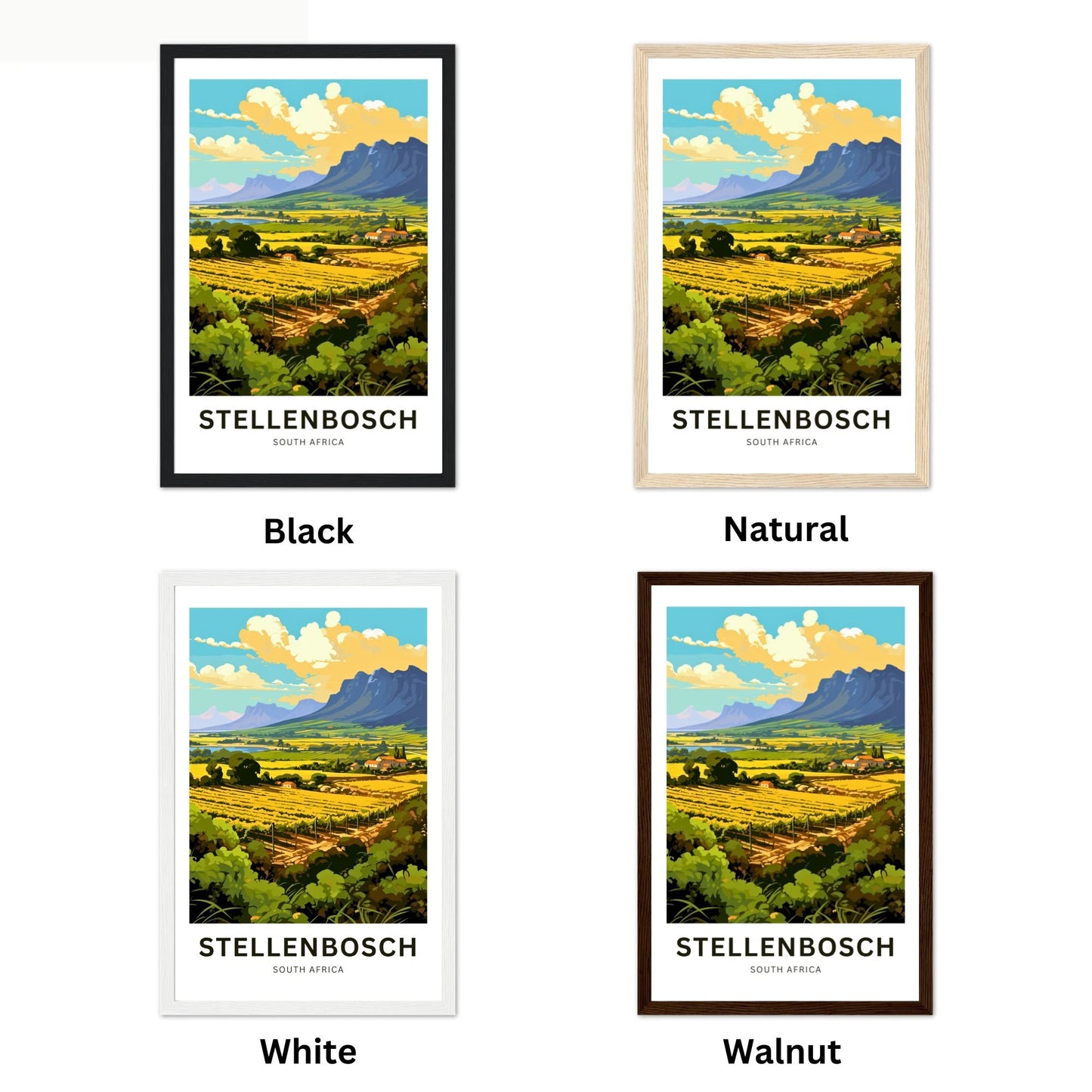 Stellenbosch Travel Poster