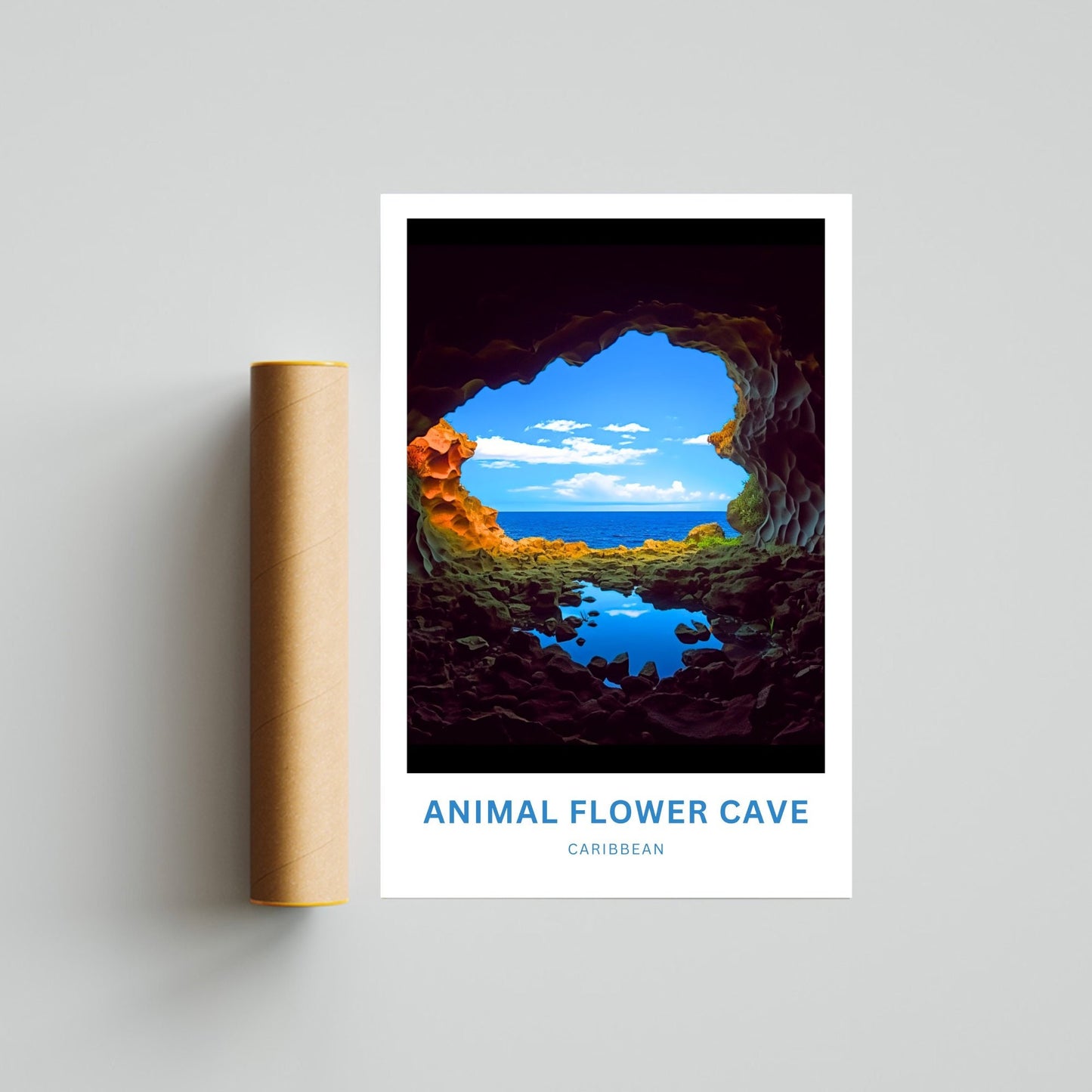 Animal Flower Cave Travel Poster