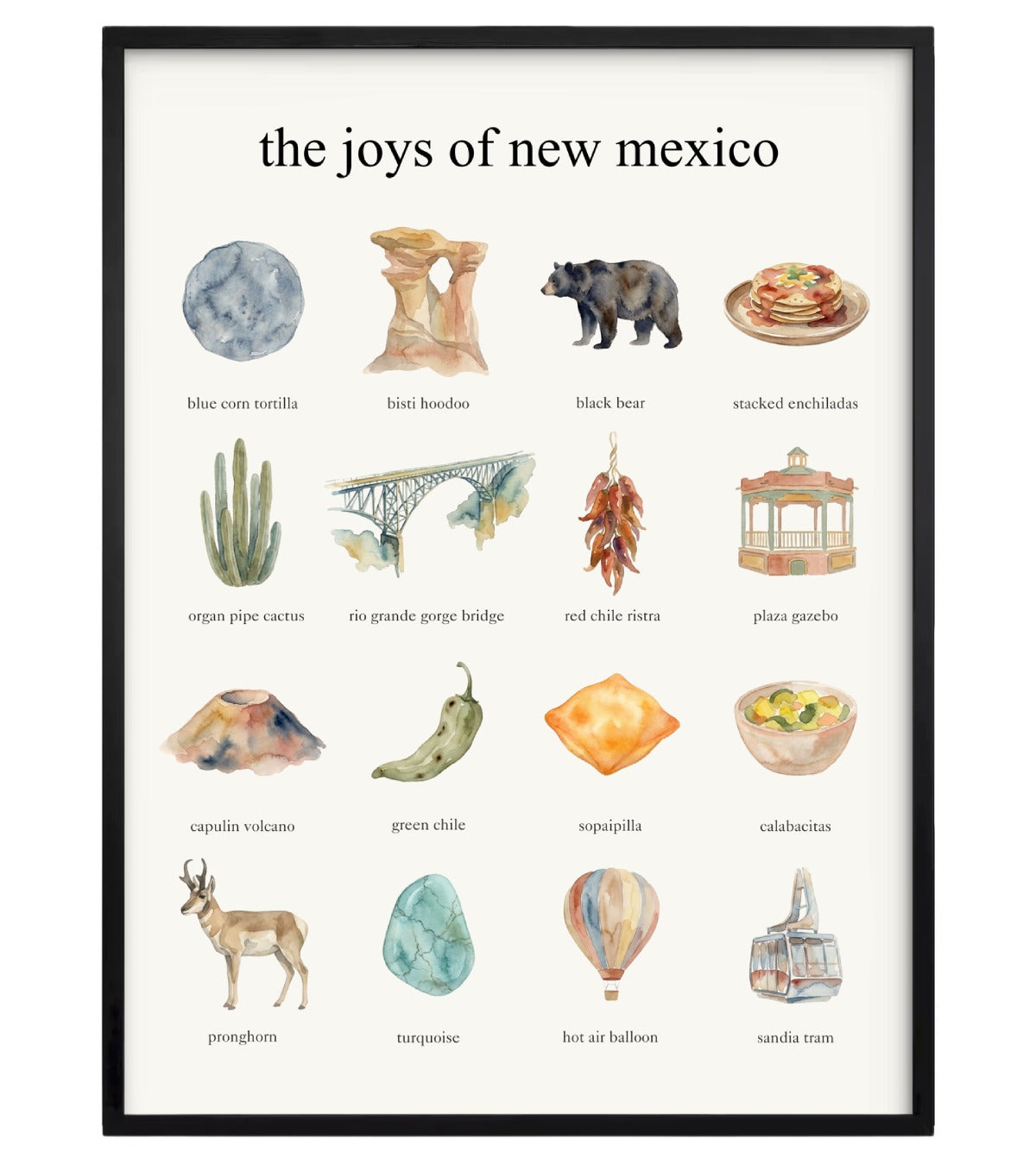 The Joys of New Mexico