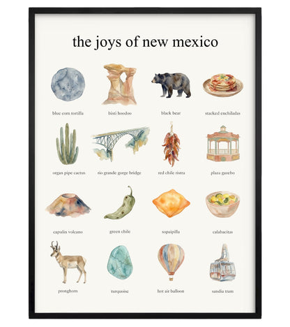 The Joys of New Mexico