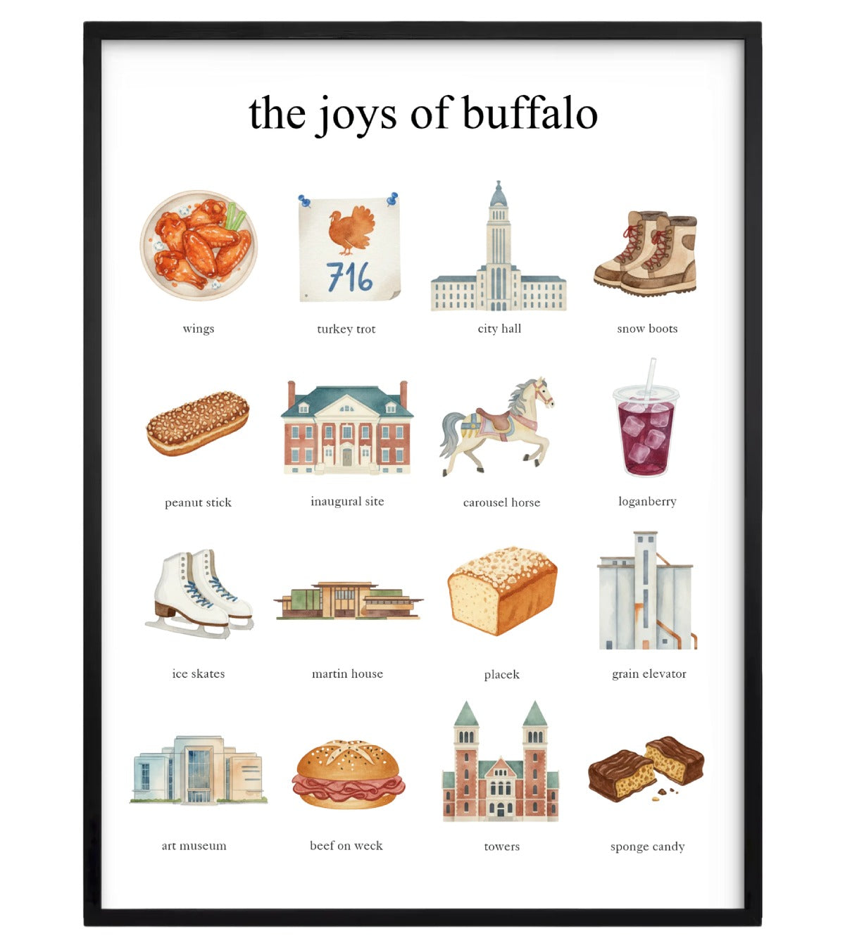 The Joys of Buffalo