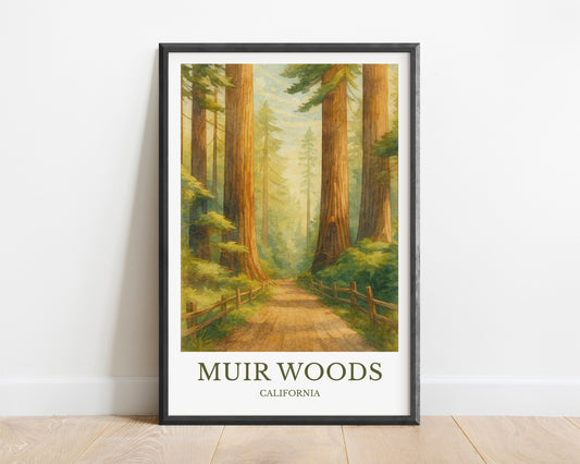 Muir Woods, Watercolor design poster, California Print, Muir Woods Wall Art